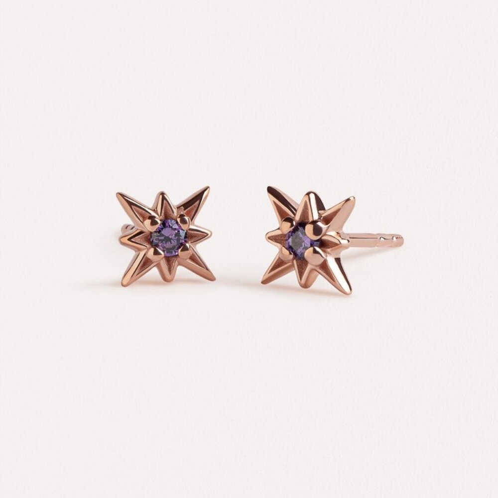 Lunaijewelry - Amethyst Starburst Stud Earrings